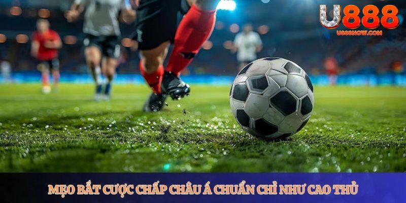 Mẹo bắt cược chấp châu Á chuẩn chỉ như cao thủ