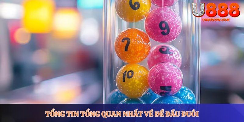 Tổng tin tổng quan nhất về đề đầu đuôi